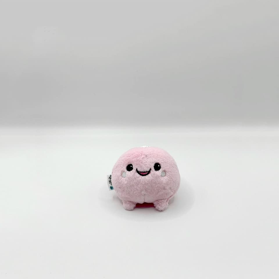 Pinky