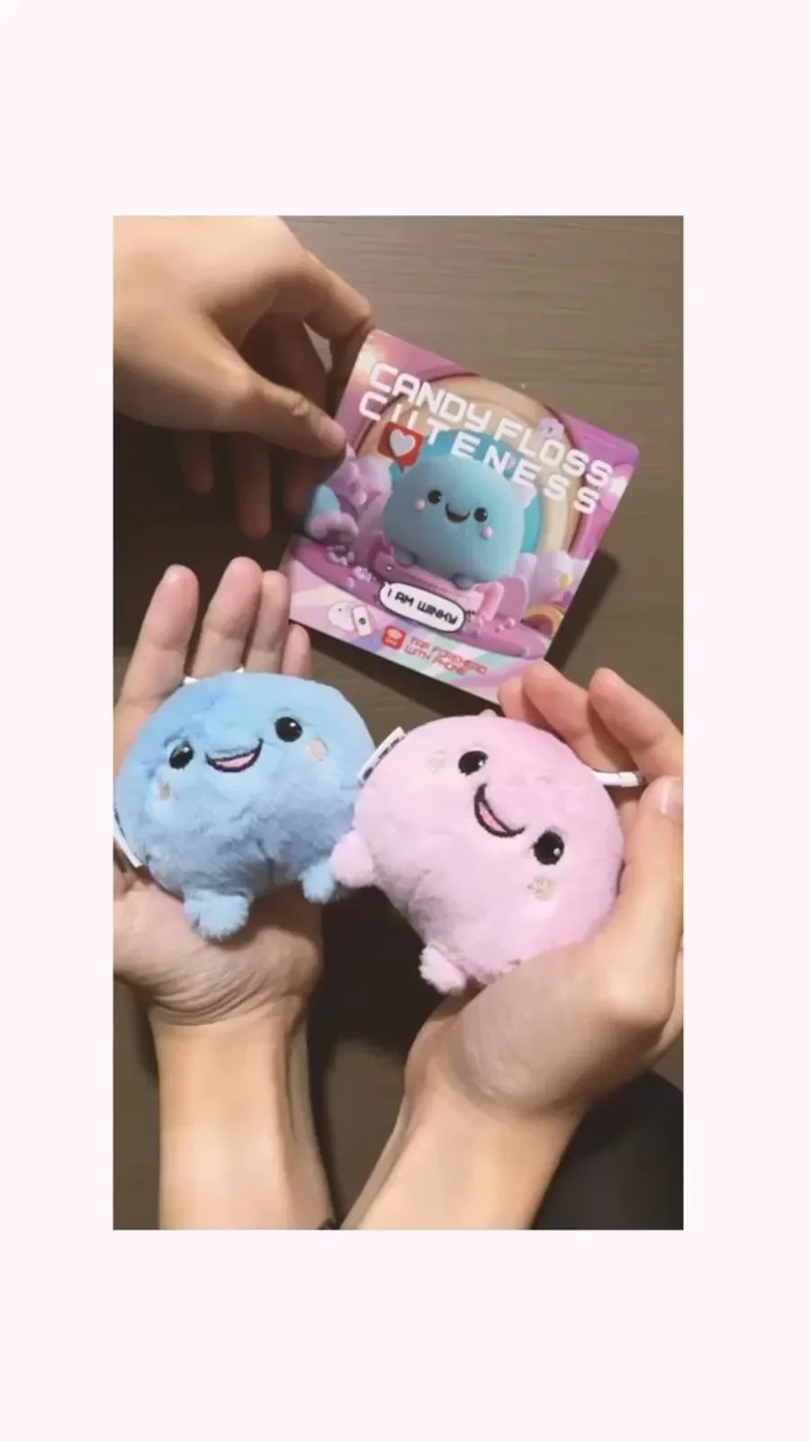 Winky and Pinky plushies held in two cupped hands, with the CandyFlossCuteness packaging behind them
